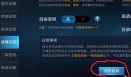 王者荣耀的爆料视频在哪,视频内容深度解析