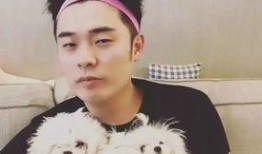 陈赫爆料宝强视频,一场娱乐圈的误会风云